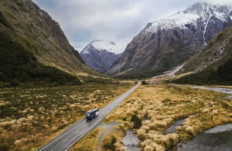 milford sound coach tour blog
